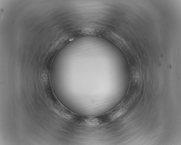 X0000072990603200608041310