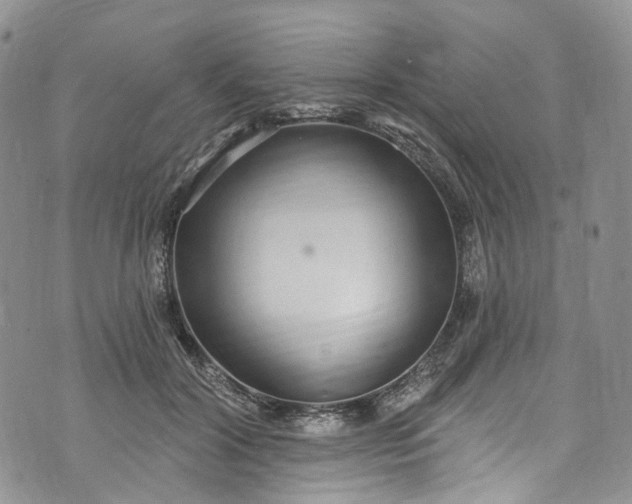 X0000072990604200608041310