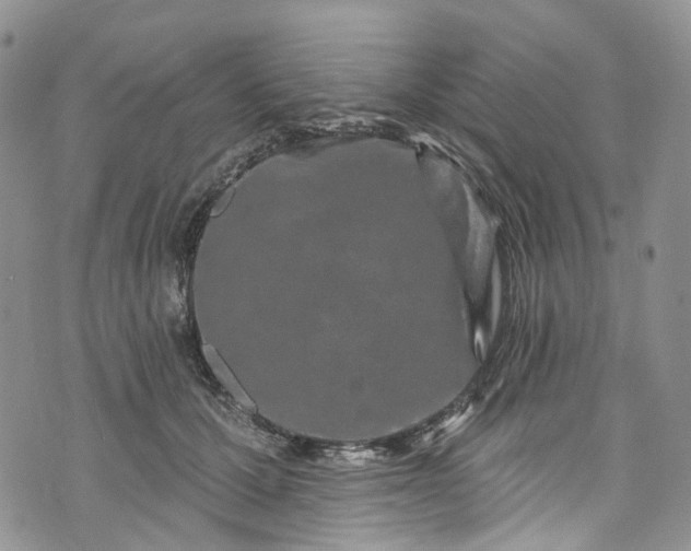 X0000072990607200608041310