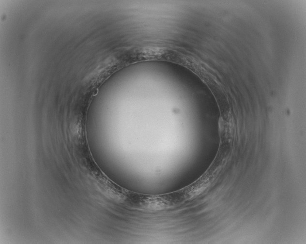 X0000072990608200608041310