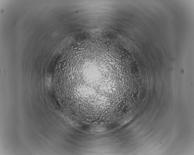 X0000072990610200608041310