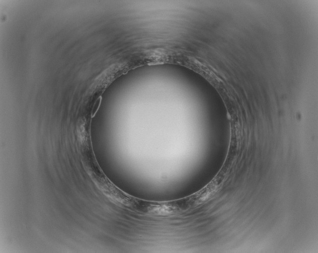 X0000072990611200608041310