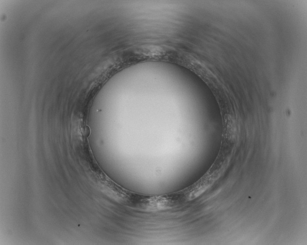 X0000072990612200608041310