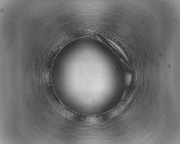 X0000072990613200608041310