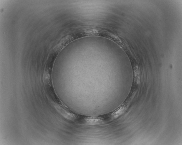 X0000072990614200608041310