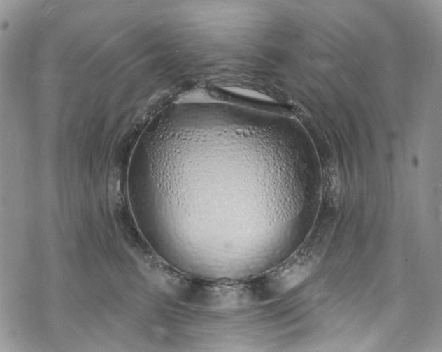 X0000072990615200608041310