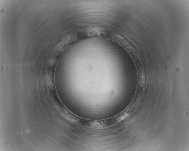 X0000072990616200608041310