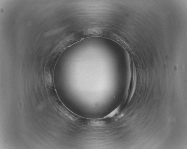 X0000072990617200608041310