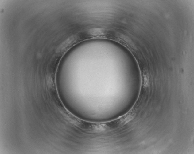 X0000072990618200608041310