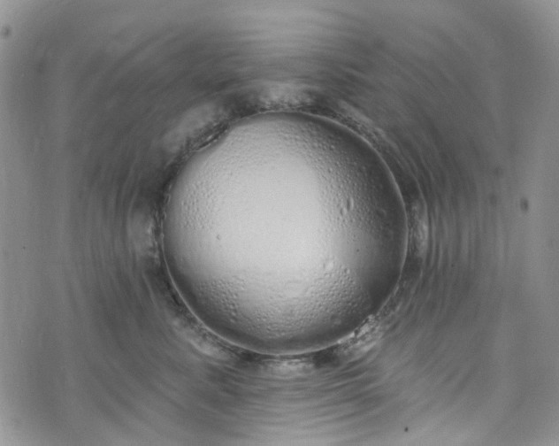 X0000072990619200608041310