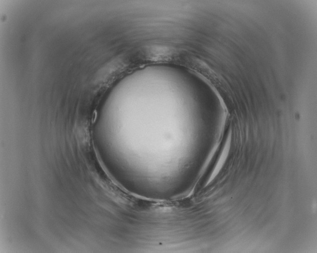 X0000072990620200608041310