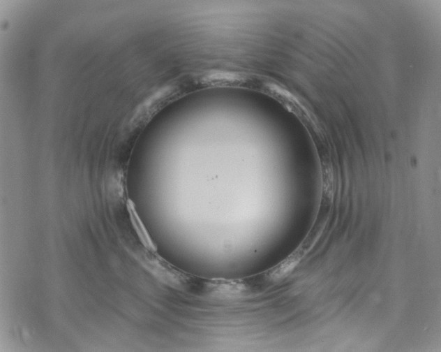 X0000072990621200608041310