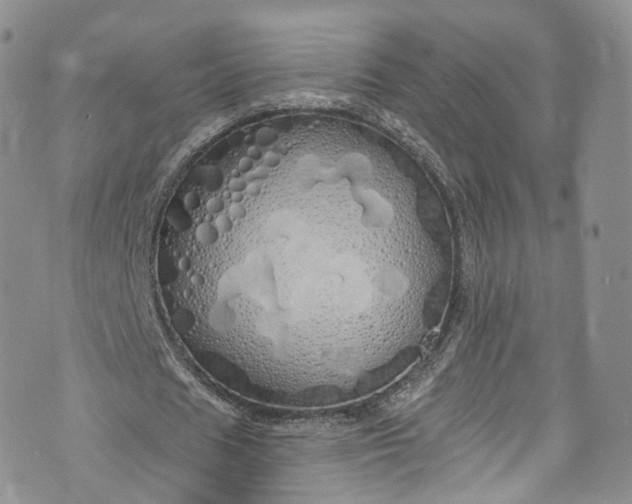 X0000072990625200608041309