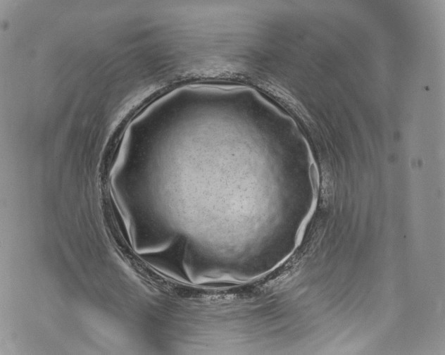 X0000072990626200608041309