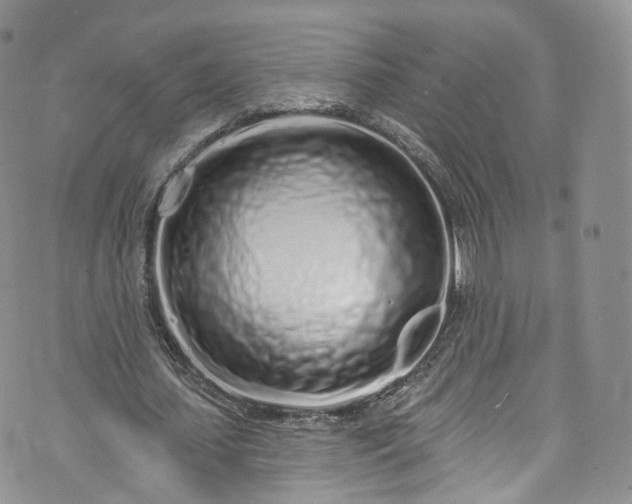 X0000072990627200608041309