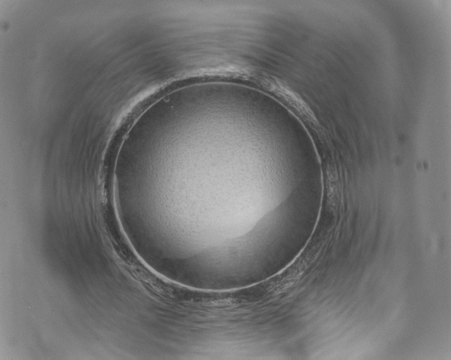 X0000072990628200608041309