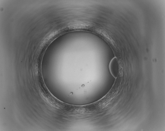 X0000072990631200608041309