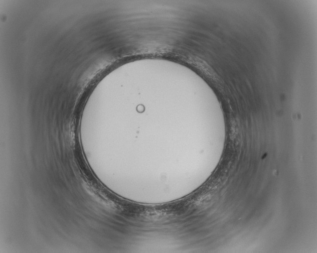 X0000072990632200608041309