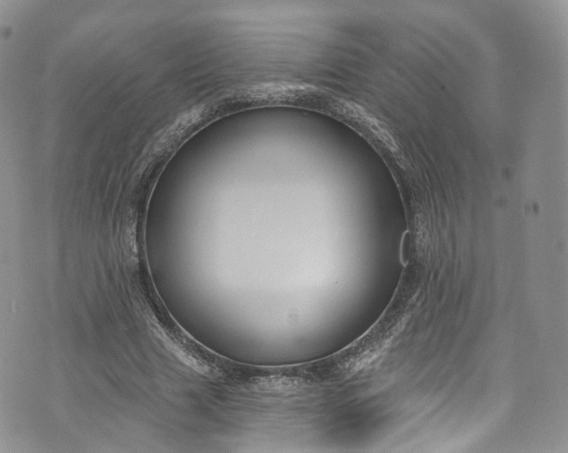 X0000072990633200608041309