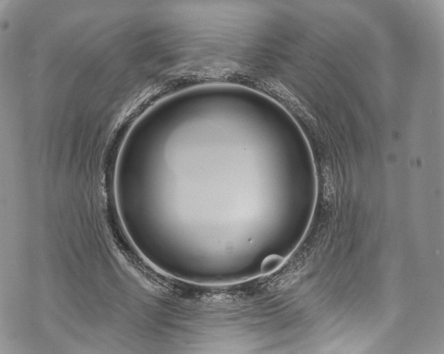 X0000072990634200608041309