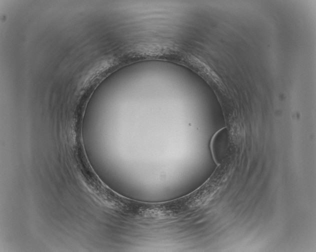 X0000072990635200608041309