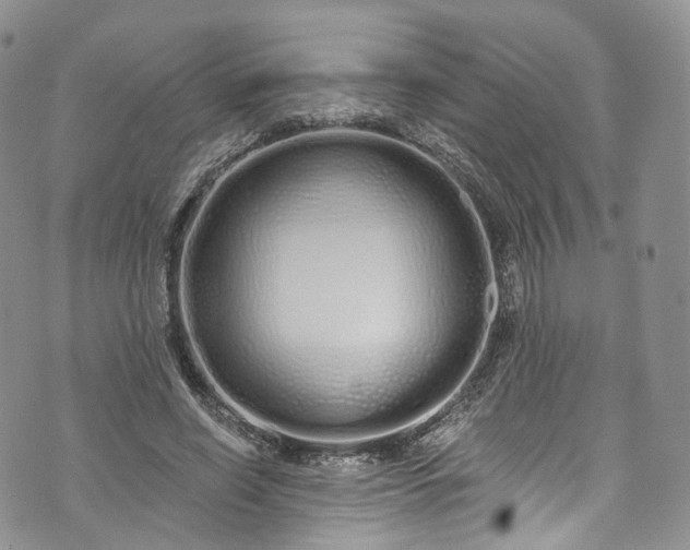 X0000072990638200608041309