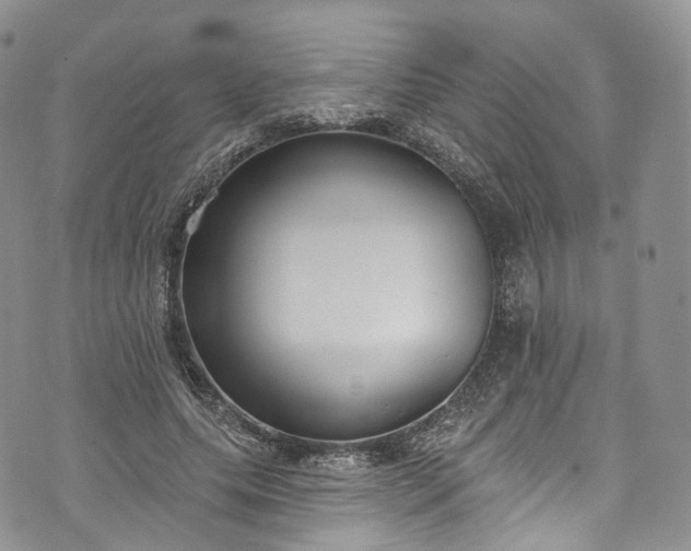 X0000072990639200608041309