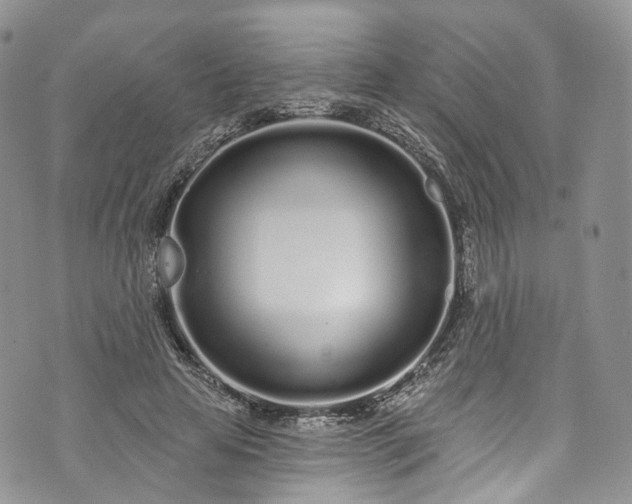 X0000072990641200608041309