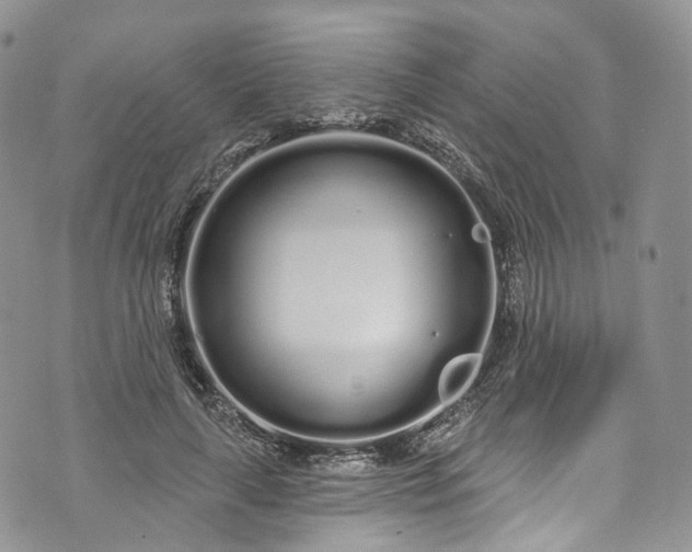 X0000072990643200608041309