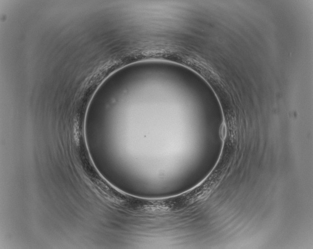 X0000072990644200608041309