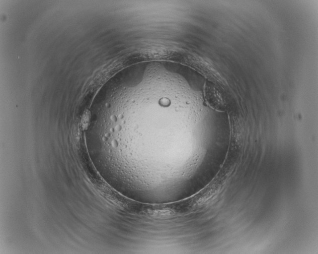 X0000072990645200608041309