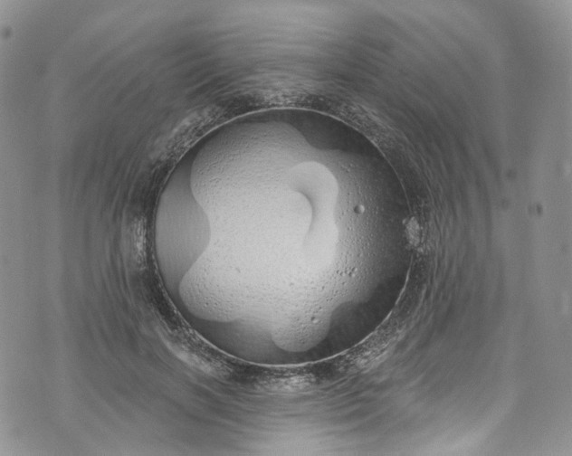 X0000072990646200608041309