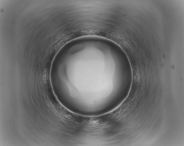 X0000072990647200608041309