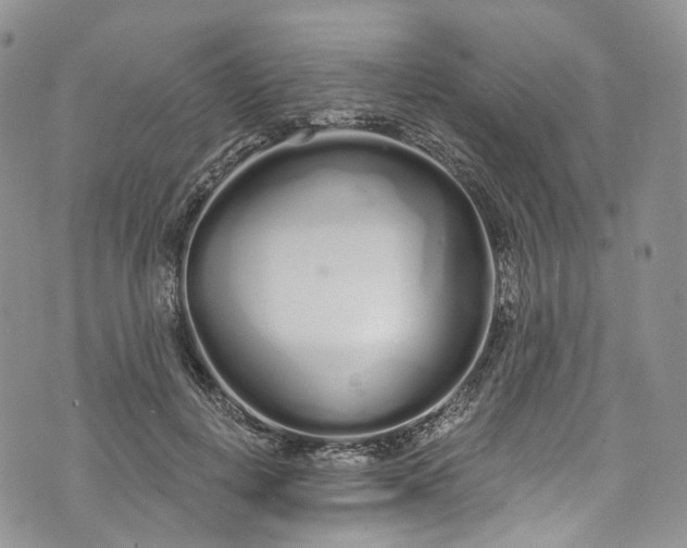 X0000072990648200608041309