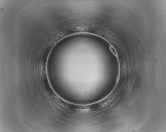 X0000072990651200608041309