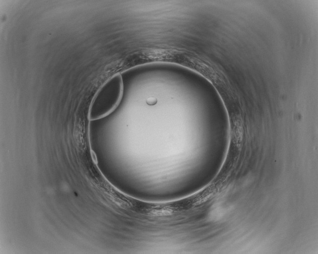 X0000072990653200608041309