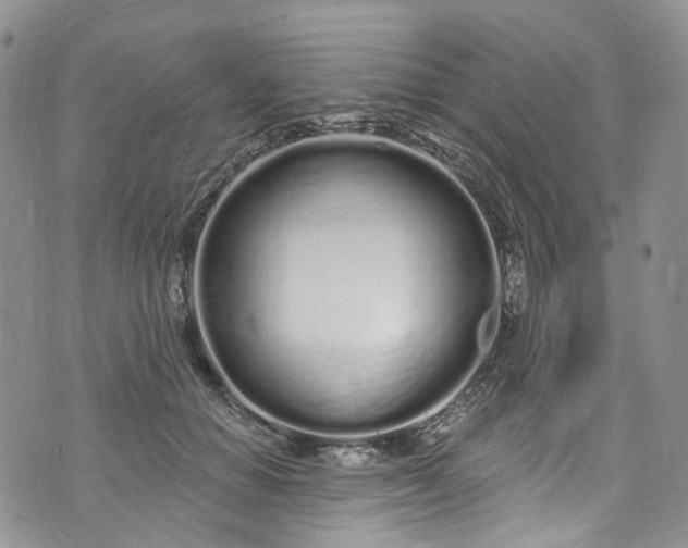 X0000072990654200608041309