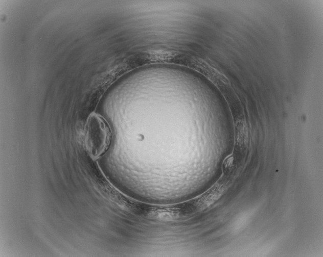 X0000072990655200608041309