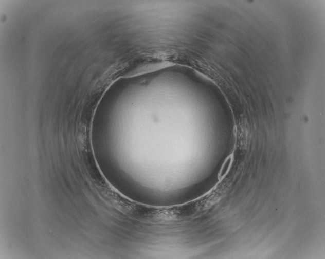 X0000072990656200608041309