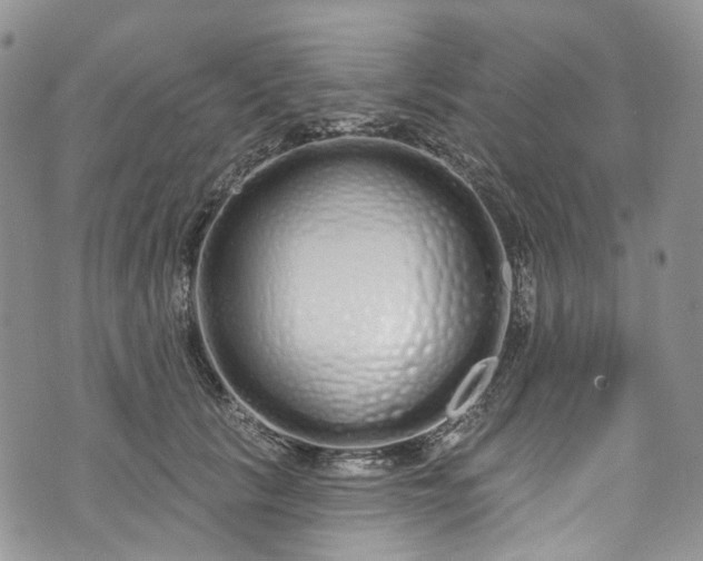 X0000072990657200608041309