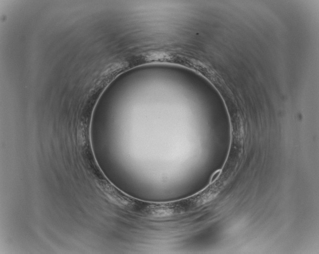 X0000072990658200608041309