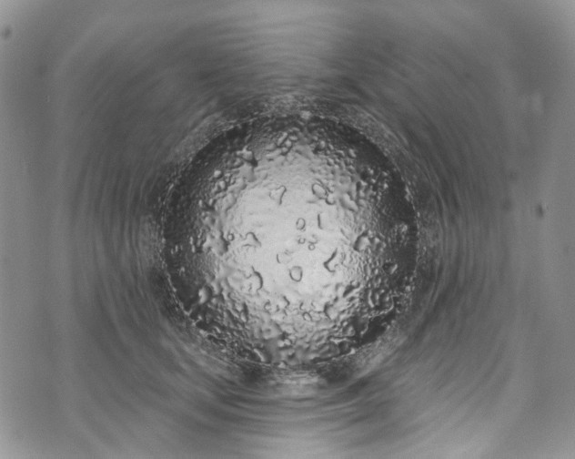 X0000072990659200608041309