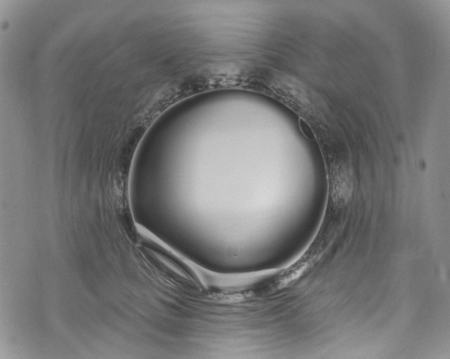 X0000072990661200608041309