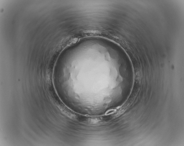 X0000072990662200608041309