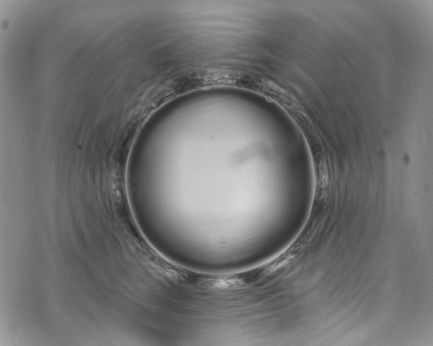 X0000072990663200608041309