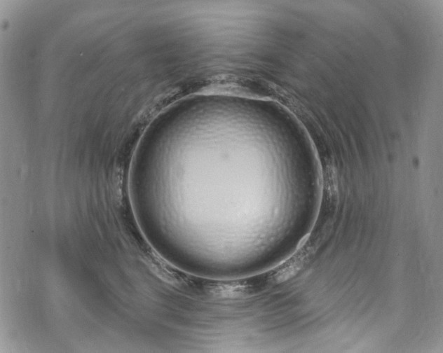 X0000072990664200608041309