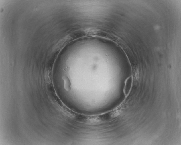 X0000072990666200608041309