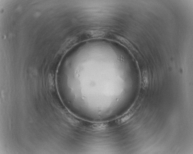 X0000072990667200608041309