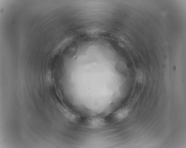 X0000072990670200608041310