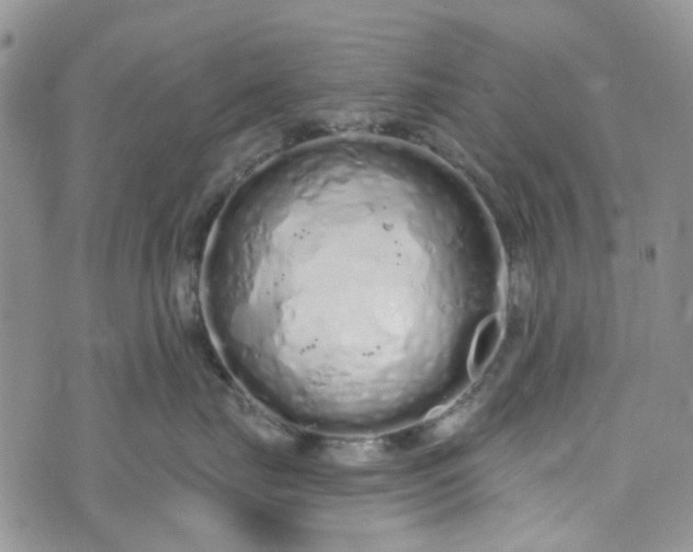 X0000072990671200608041310